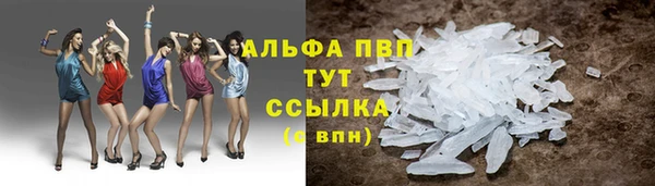 стафф Богородск