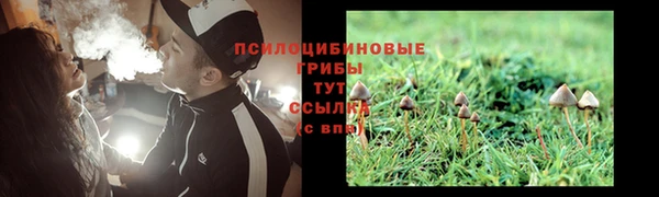 молекула духа Беломорск