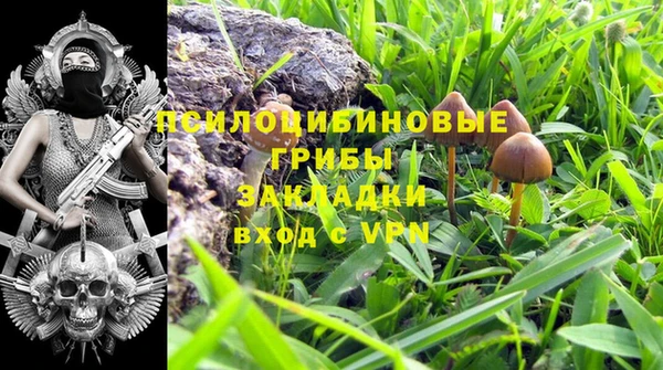 ALPHA-PVP Белокуриха
