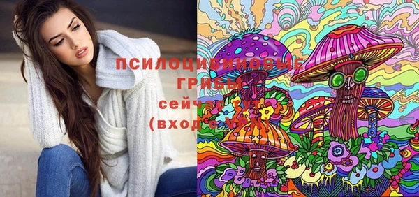 молекула духа Беломорск