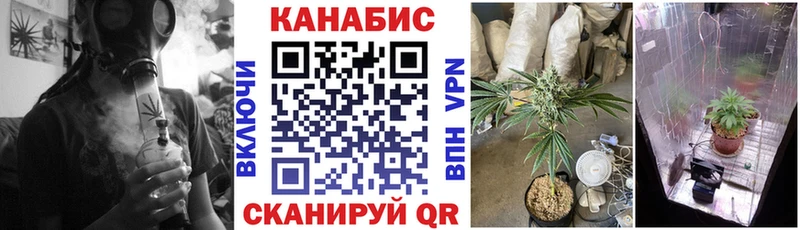 Шишки марихуана марихуана  Конаково 